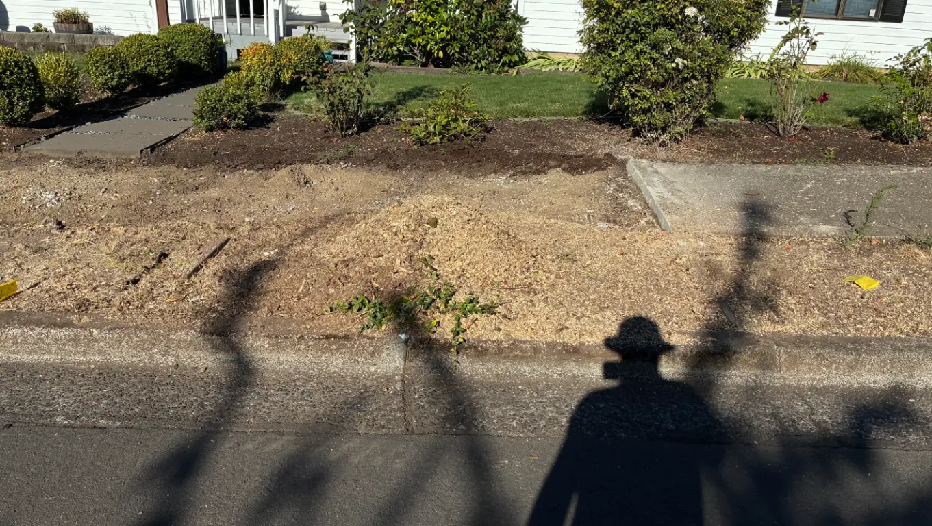 Parkway strip cleared after stump grinding