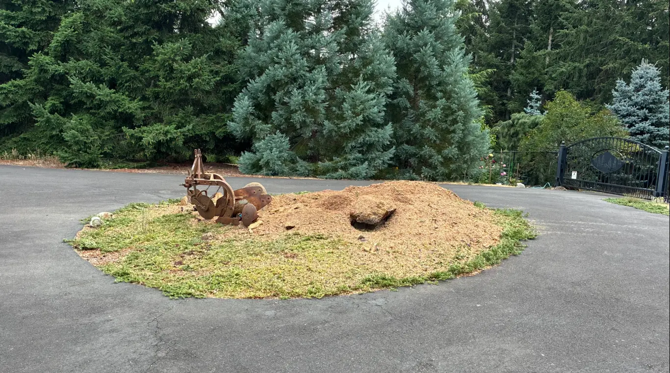 Driveway island cleared by Cascade Stump Removal, stump ground into mulch