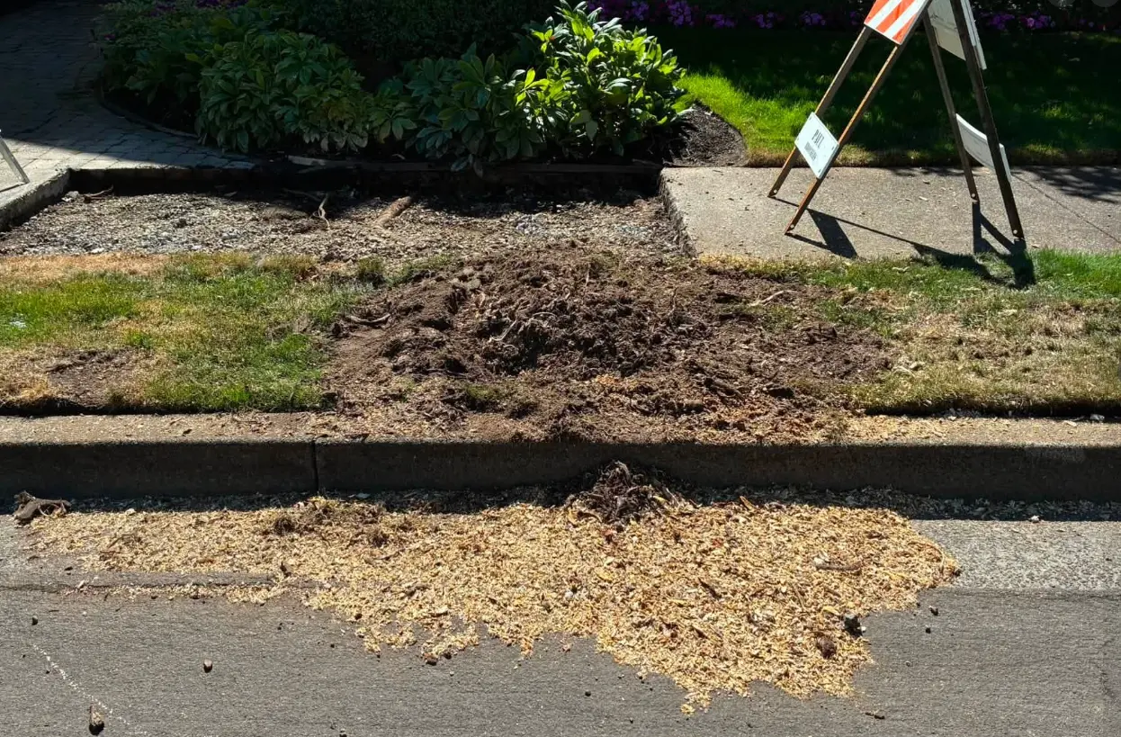 Lawn stump ground below grade with wood chips cleared
